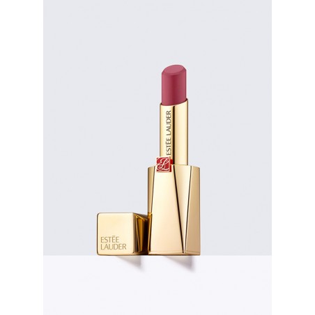 PURE COLOR DESIRE MATTE LIPSTICK  INSIST